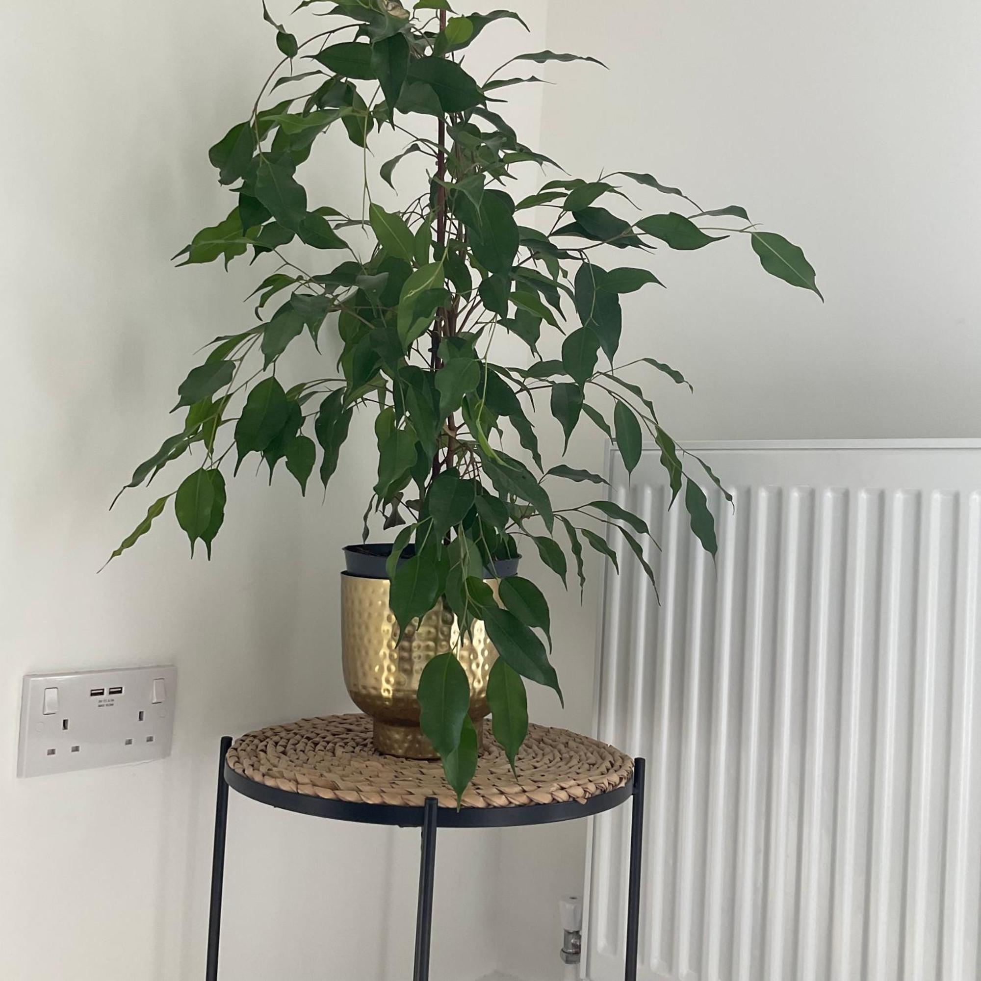 The Parkes A Stylish 3Br House, 5 Mins From Central Birmingham Close To The Edgbaston Stadium, The Hippodrome, Uob, Aston And Bcu, China Town, Kings Heath Bhx Airport And Much More מראה חיצוני תמונה